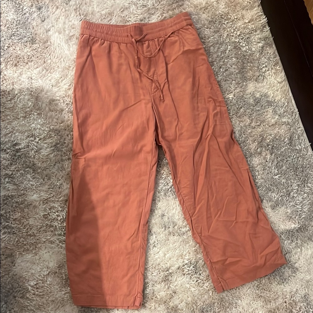 Abercrombie & Fitch Rust Elastic Waist Orange Casual Pants with tie